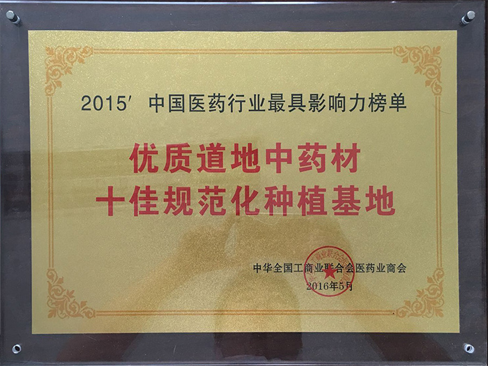 无码人妻少妇色欲AV一区二区