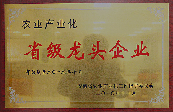 无码人妻少妇色欲AV一区二区